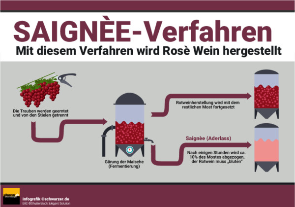 Arten von Infografiken: Diese sind besonders effektiv! - Content-Marketing by schwarzer.de