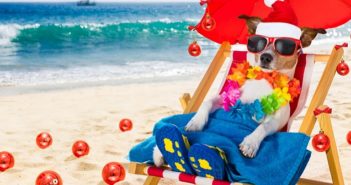 20 lustige Bilder mit Sprüchen zum Wochenende 20 lustige Bilder mit Sprüchen zum Wochenende