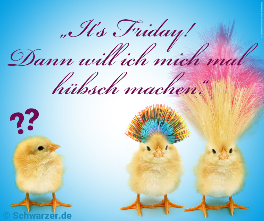 20 lustige Bilder mit Sprüchen zum Wochenende ContentMarketing by