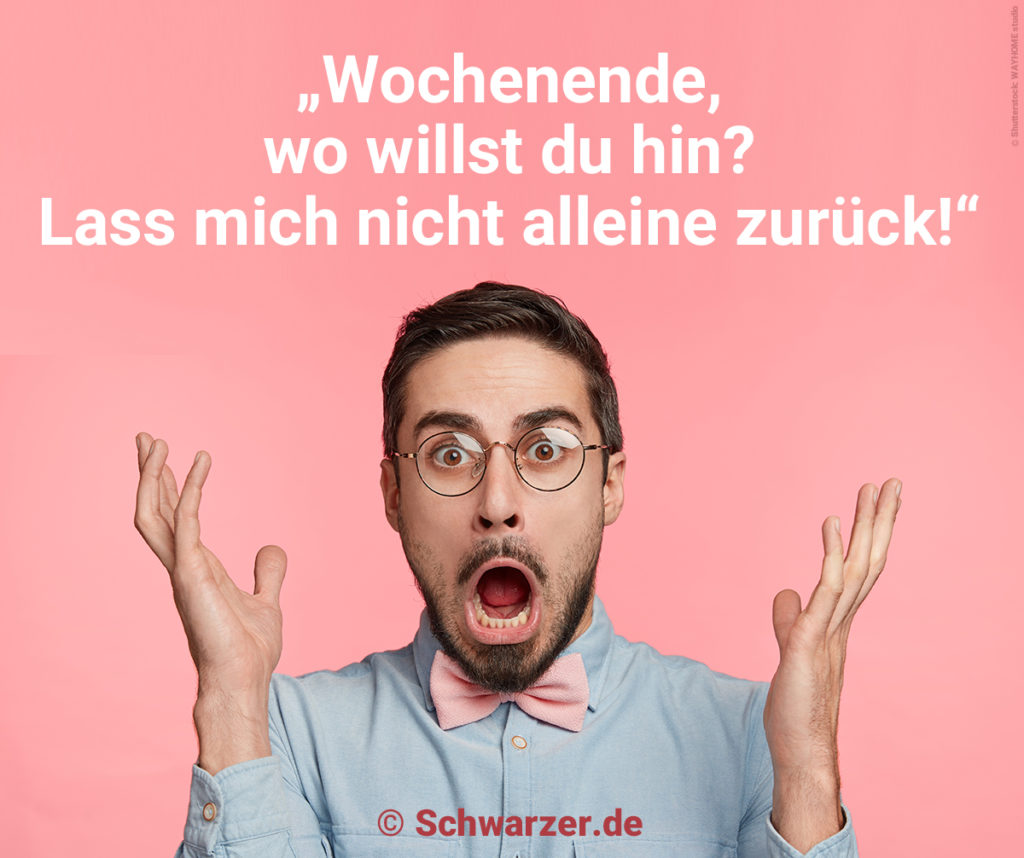 20 lustige Bilder mit Sprüchen zum Wochenende ContentMarketing by